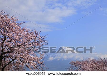 Stock Image - "Shizuoka Prefecture, Japan". Fotosearch