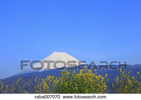 "Shizuoka Prefecture, Japan" View Large Photo Image Stock Image - "Shizuoka Prefecture, Japan". Fotosearch