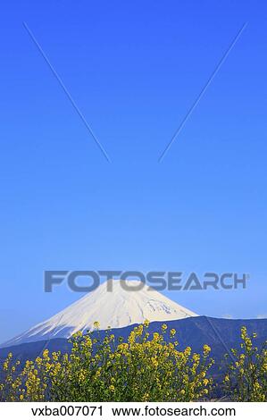 "Shizuoka Prefecture, Japan" View Large Photo Image Stock Image - "Shizuoka Prefecture, Japan". Fotosearch