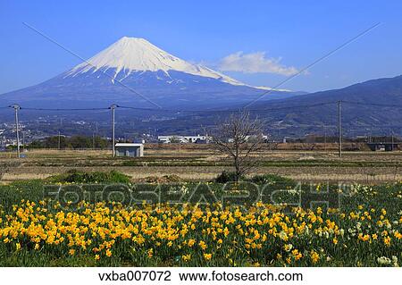 "Shizuoka Prefecture, Japan" View Large Photo Image Stock Image - "Shizuoka Prefecture, Japan". Fotosearch