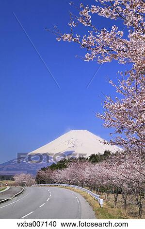 Stock Image - "Shizuoka Prefecture, Japan". Fotosearch
