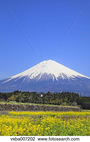 "Shizuoka Prefecture, Japan" View Large Photo Image Stock Image - "Shizuoka Prefecture, Japan". Fotosearch