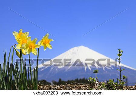 "Shizuoka Prefecture, Japan" View Large Photo Image Stock Image - "Shizuoka Prefecture, Japan". Fotosearch