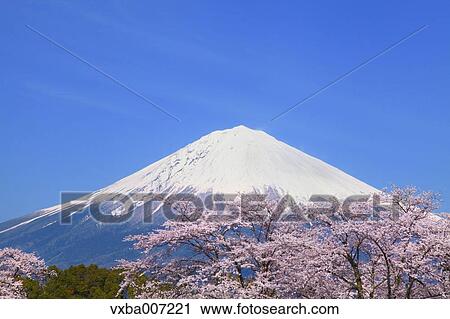 "Shizuoka Prefecture, Japan" View Large Photo Image Stock Image - "Shizuoka Prefecture, Japan". Fotosearch