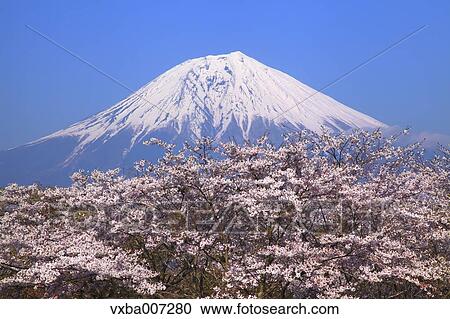 "Shizuoka Prefecture, Japan" View Large Photo Image Stock Image - "Shizuoka Prefecture, Japan". Fotosearch