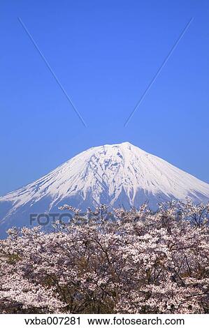 "Shizuoka Prefecture, Japan" View Large Photo Image Stock Image - "Shizuoka Prefecture, Japan". Fotosearch