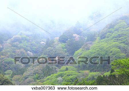 "Shizuoka Prefecture, Japan" View Large Photo Image Stock Image - "Shizuoka Prefecture, Japan". Fotosearch