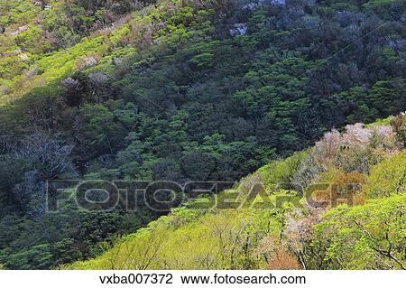 "Shizuoka Prefecture, Japan" View Large Photo Image Stock Image - "Shizuoka Prefecture, Japan". Fotosearch