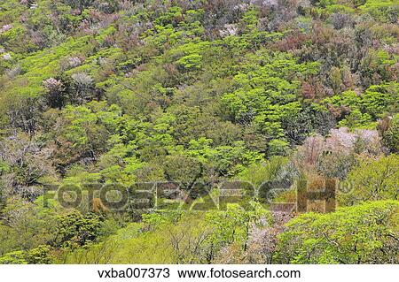 "Shizuoka Prefecture, Japan" View Large Photo Image Stock Image - "Shizuoka Prefecture, Japan". Fotosearch