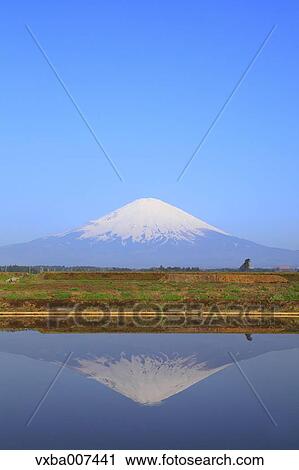 "Shizuoka Prefecture, Japan" View Large Photo Image Stock Image - "Shizuoka Prefecture, Japan". Fotosearch