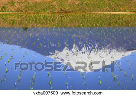 "Shizuoka Prefecture, Japan" View Large Photo Image Stock Image - "Shizuoka Prefecture, Japan". Fotosearch