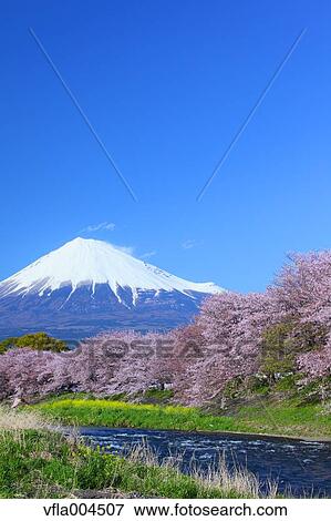 Stock Photo - "Shizuoka Prefecture, Japan". Fotosearch