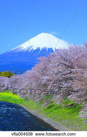 "Shizuoka Prefecture, Japan" View Large Photo Image Stock Photo - "Shizuoka Prefecture, Japan". Fotosearch