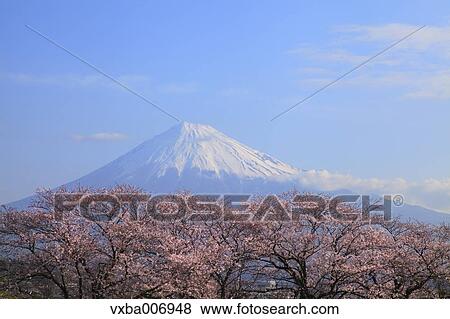 "Shizuoka Prefecture, Japan" View Large Photo Image Stock Photo - "Shizuoka Prefecture, Japan". Fotosearch