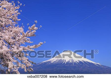"Shizuoka Prefecture, Japan" View Large Photo Image Stock Photo - "Shizuoka Prefecture, Japan". Fotosearch