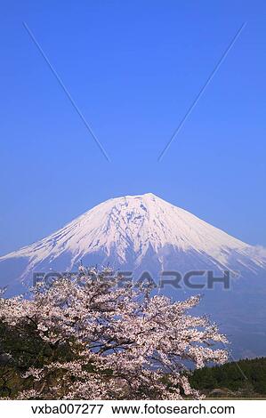 "Shizuoka Prefecture, Japan" View Large Photo Image Stock Photo - "Shizuoka Prefecture, Japan". Fotosearch