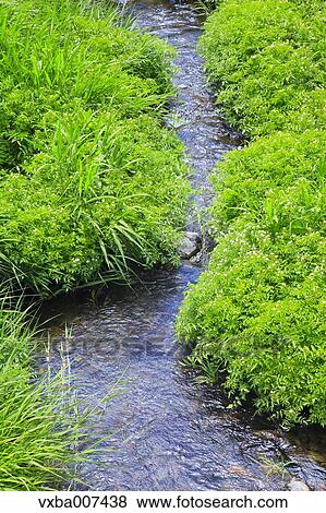 "Shizuoka Prefecture, Japan" View Large Photo Image Stock Photo - "Shizuoka Prefecture, Japan". Fotosearch