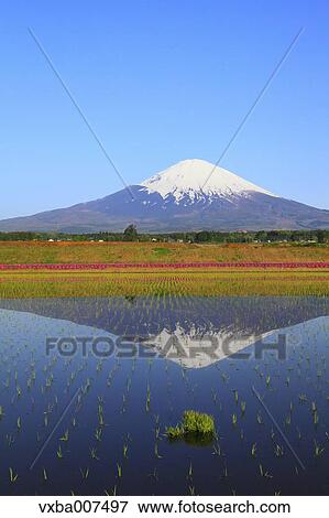 "Shizuoka Prefecture, Japan" View Large Photo Image Stock Photo - "Shizuoka Prefecture, Japan". Fotosearch