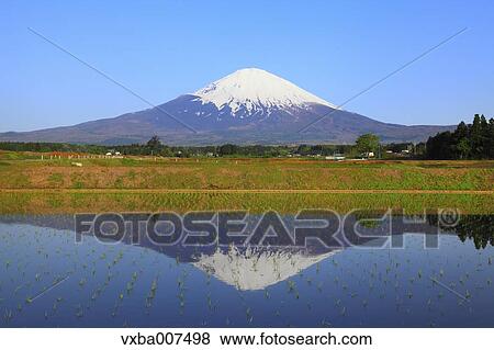 "Shizuoka Prefecture, Japan" View Large Photo Image Stock Photo - "Shizuoka Prefecture, Japan". Fotosearch