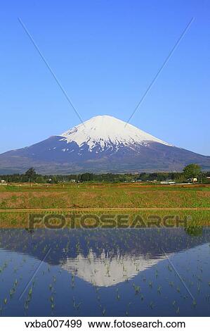 "Shizuoka Prefecture, Japan" View Large Photo Image Stock Photo - "Shizuoka Prefecture, Japan". Fotosearch