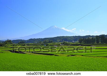 "Shizuoka Prefecture, Japan" View Large Photo Image Stock Photo - "Shizuoka Prefecture, Japan". Fotosearch