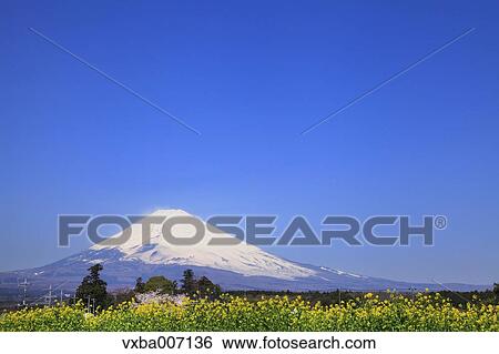 Stock Photograph - "Shizuoka Prefecture, Japan". Fotosearch