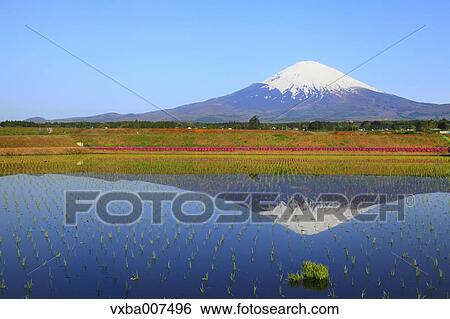"Shizuoka Prefecture, Japan" View Large Photo Image Stock Photograph - "Shizuoka Prefecture, Japan". Fotosearch