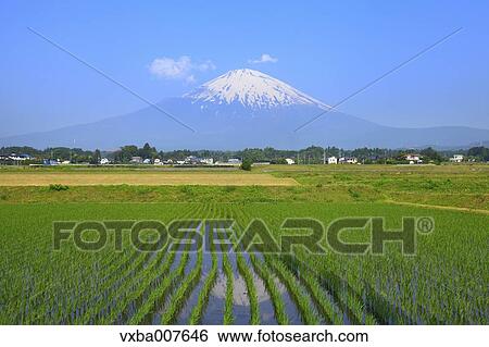 Stock Photograph - "Shizuoka Prefecture, Japan". Fotosearch