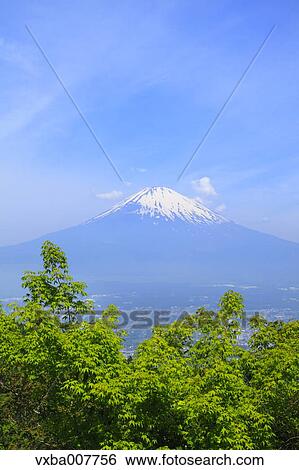 "Shizuoka Prefecture, Japan" View Large Photo Image Stock Photograph - "Shizuoka Prefecture, Japan". Fotosearch