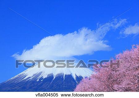 "Shizuoka Prefecture, Japan" View Large Photo Image Stock Photography - "Shizuoka Prefecture, Japan". Fotosearch