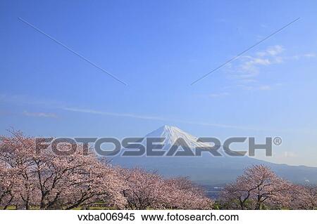 "Shizuoka Prefecture, Japan" View Large Photo Image Stock Photography - "Shizuoka Prefecture, Japan". Fotosearch
