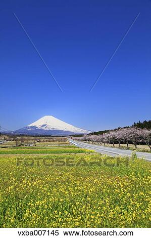 "Shizuoka Prefecture, Japan" View Large Photo Image Stock Photography - "Shizuoka Prefecture, Japan". Fotosearch
