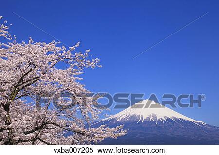 Stock Photography - "Shizuoka Prefecture, Japan". Fotosearch