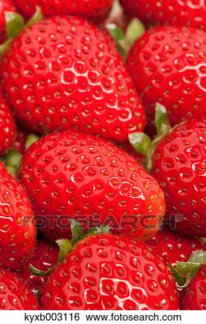 Stock Photograph - Strawberries. Fotosearch