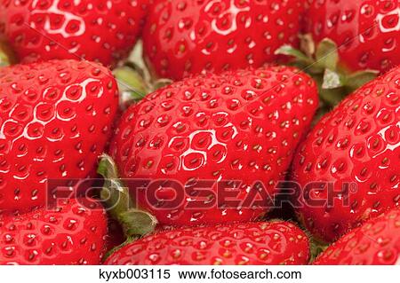 Strawberries View Large Photo Image Stock Photography - Strawberries. Fotosearch