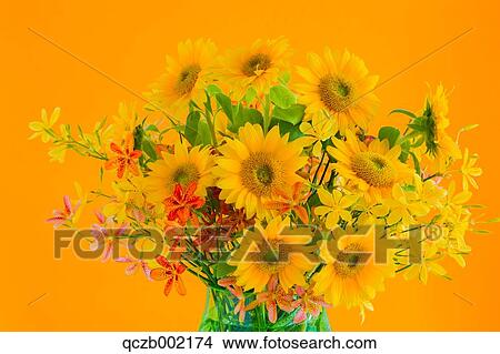 Picture - Sunflowers. Fotosearch