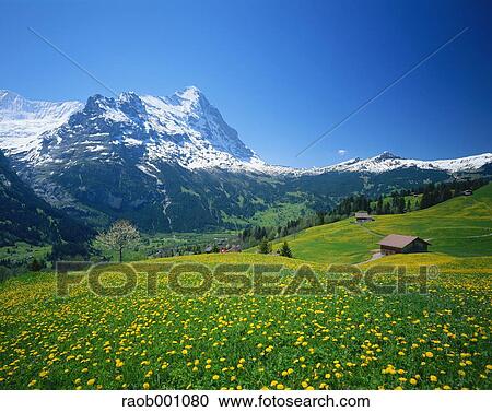 Switzerland View Large Photo Image Stock Image - Switzerland. Fotosearch