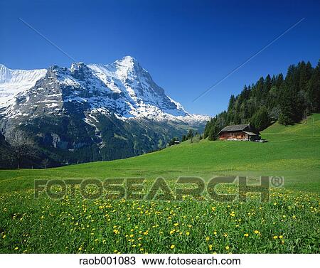 Switzerland View Large Photo Image Stock Image - Switzerland. Fotosearch
