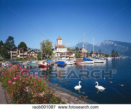 Switzerland View Large Photo Image Stock Photo - Switzerland. Fotosearch