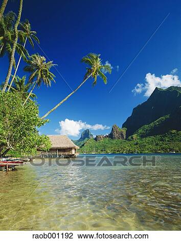 Tahiti View Large Photo Image Stock Image - Tahiti. Fotosearch