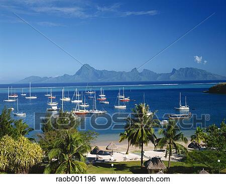 Tahiti View Large Photo Image Stock Photograph - Tahiti. Fotosearch