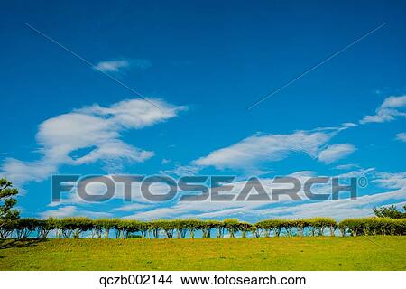 Picture - "Tochigi Prefecture, Japan". Fotosearch