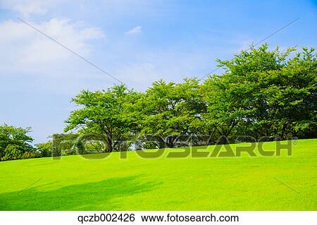"Tochigi Prefecture, Japan" View Large Photo Image Stock Photograph - "Tochigi Prefecture, Japan". Fotosearch