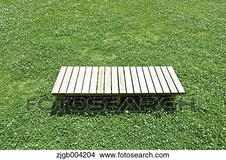 Picture - Wooden bench on lawn. Fotosearch