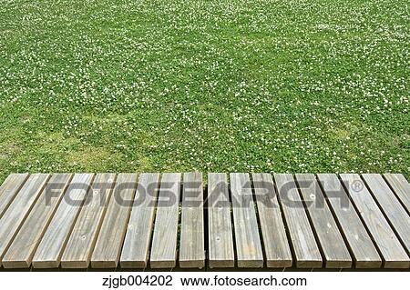 Wooden bench on lawn View Large Photo Image Stock Image - Wooden bench on lawn. Fotosearch