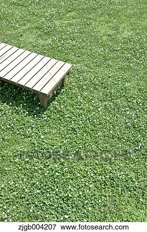 Wooden bench on lawn View Large Photo Image Stock Photo - Wooden bench on lawn. Fotosearch