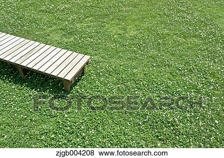 Stock Photo - Wooden bench on lawn. Fotosearch