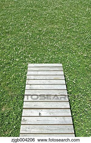 Stock Photograph - Wooden bench on lawn. Fotosearch