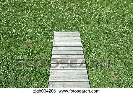 Wooden bench on lawn View Large Photo Image Stock Photography - Wooden bench on lawn. Fotosearch