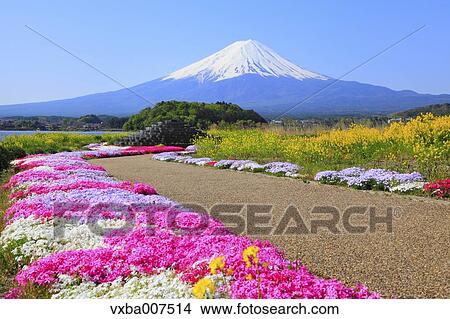 "Yamanashi Prefecture, Japan" View Large Photo Image Picture - "Yamanashi Prefecture, Japan". Fotosearch
